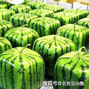 8f3c984d8ba34b4c97dafebf36188600.png