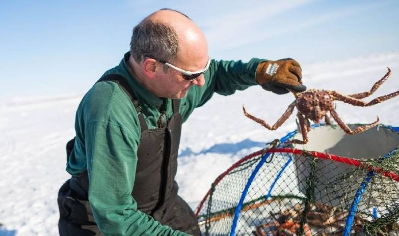 地区|这片海全是帝王蟹，小伙没船出海，一个大胆的尝试赚了