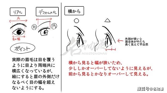 九,耳朵不管是正面還是側面,很多初學者應該都對耳朵的結構不知所措吧