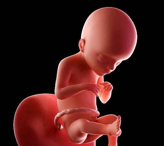 几个月胎动会比较明显 3c22d68c34b94075a887e397e96b5cc4.jpeg