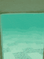 图片|柯基有三宝, 短腿、翘臀和扭腰!