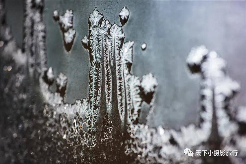神话|冰窗花--冬天的神话