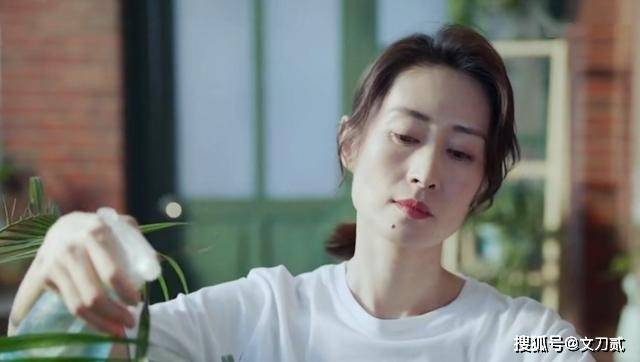 大山|张嘉译新剧有点意思，沙溢搞笑，刘敏涛娇贵，宋丹丹和稀泥