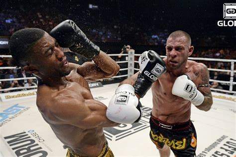 自由搏击排名_自由搏击图片