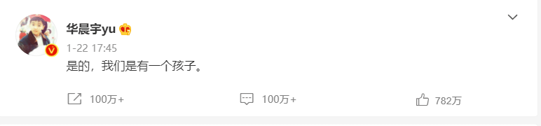 网友|偷偷生下女儿的张碧晨，是真心爱华晨宇，还是另有所图？