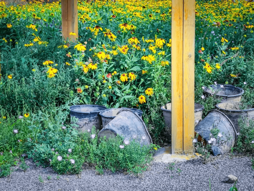 摄影|花式避暑，一见“清”心！只需一瞥，便足以把酷夏原谅…