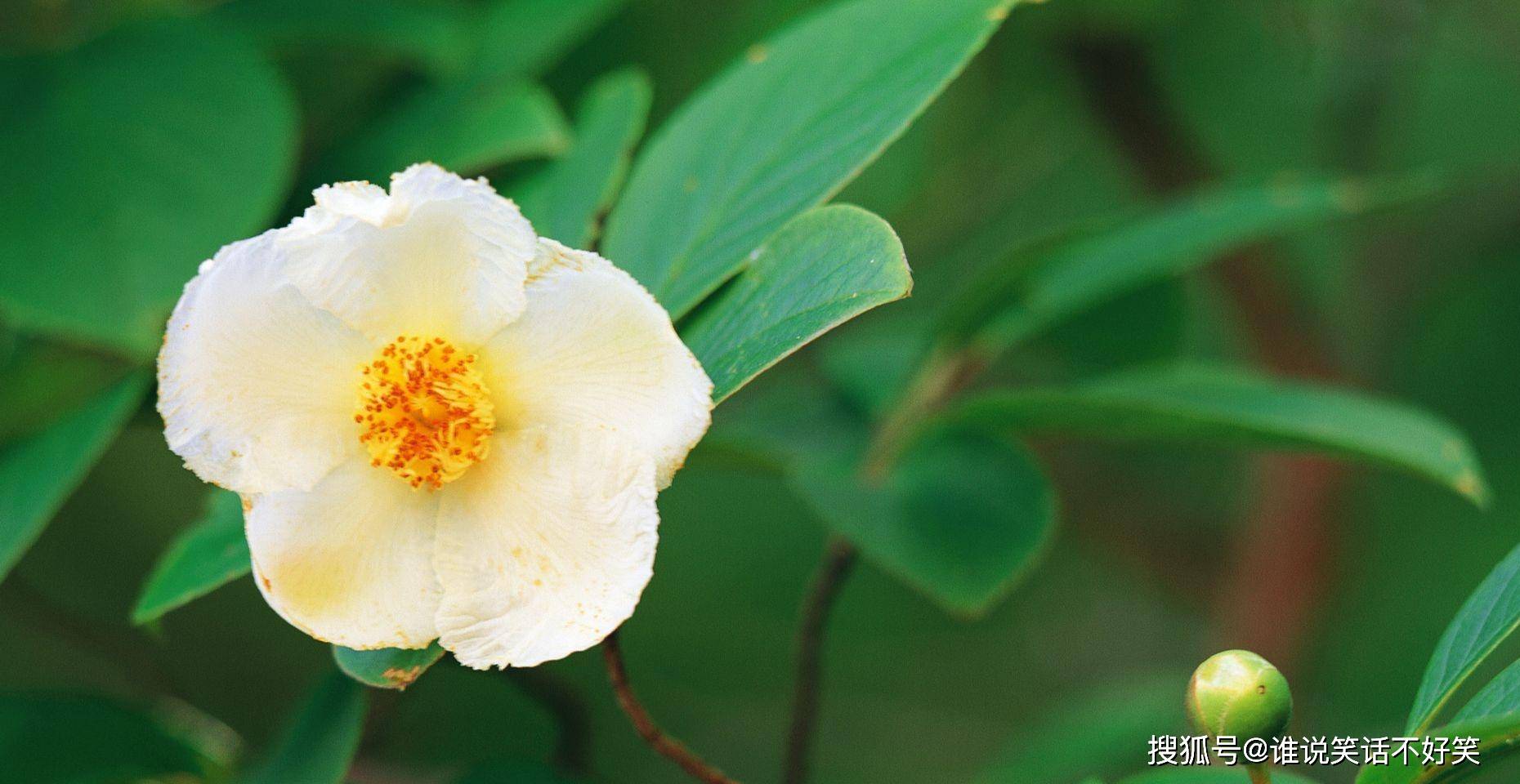 10月26日星座运势 坚守原则 独立自主的四大星座 工作