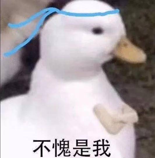 阿杠|明明很火却一集没看过，说的是你么？