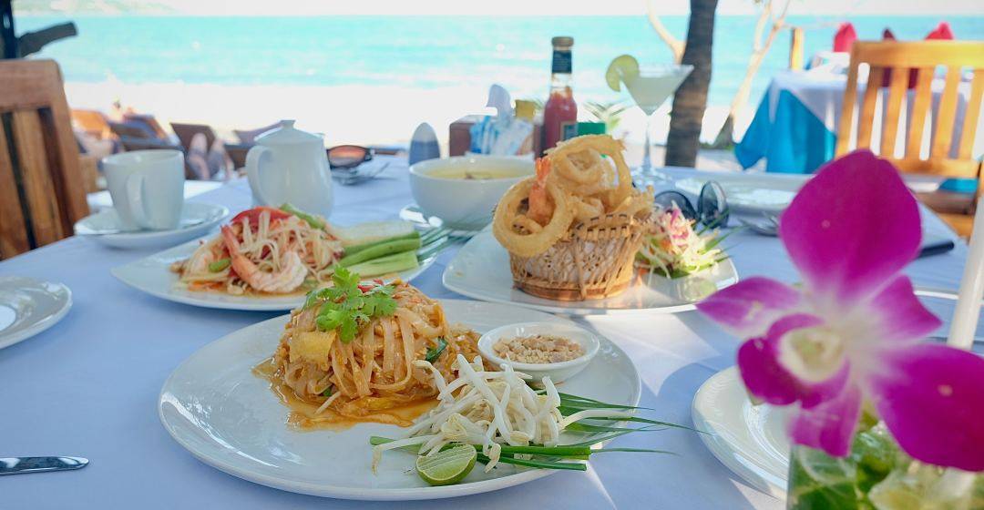 食用者|你去保护世界,我保护你