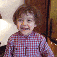 马尔济斯|确认过眼神, 是亲生儿子没有错!