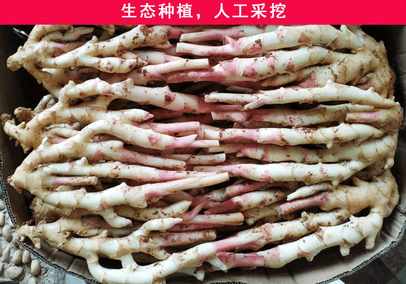 最全的仔姜吃法20种，仔姜怎么做好吃~_食用