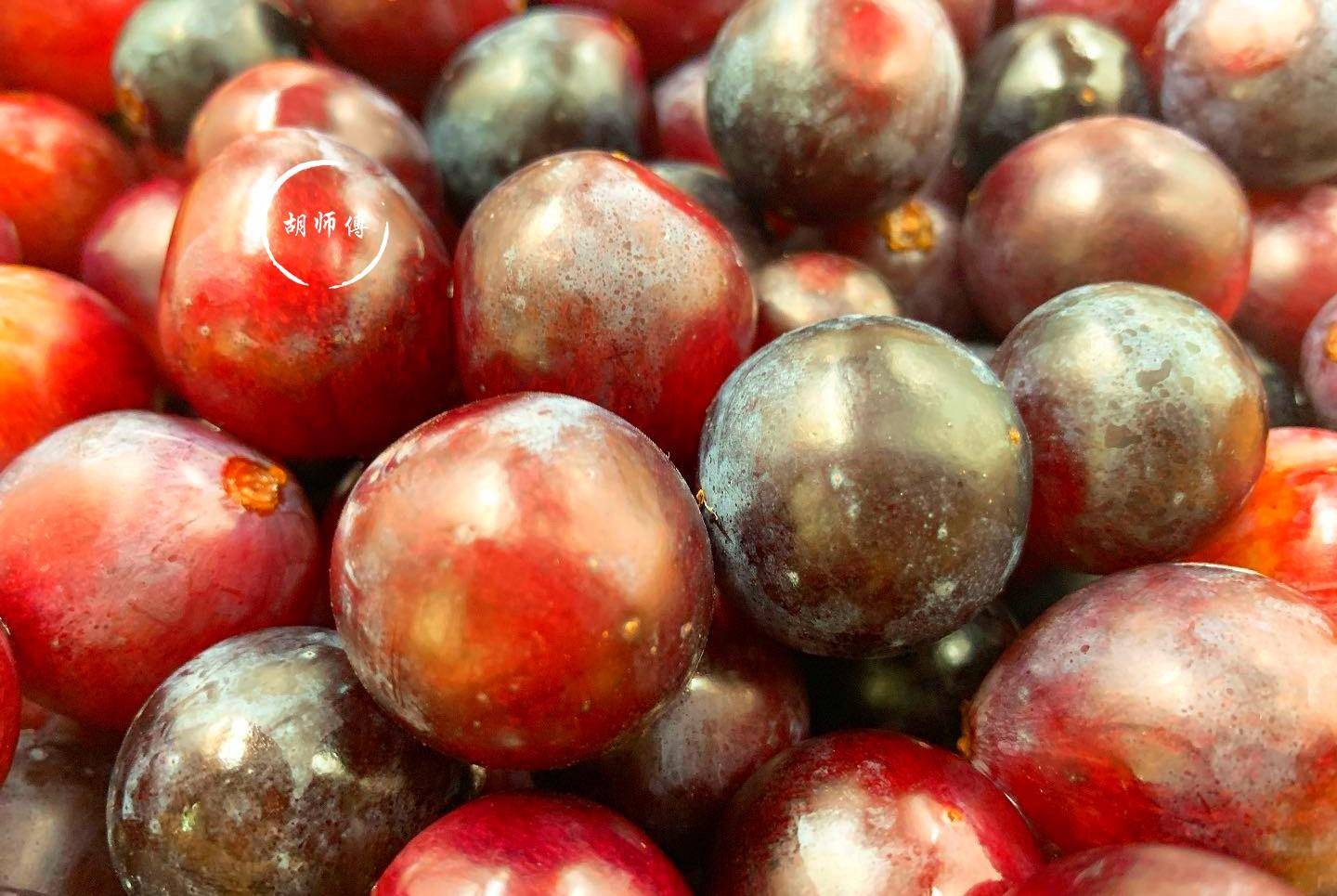 因为|做葡萄酒时,洗净的葡萄别直接撒糖!多加1步,酒更香醇还不涩口