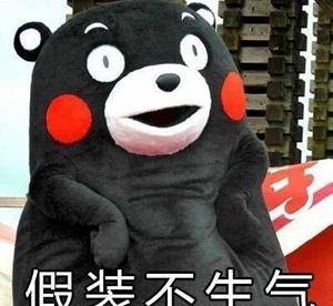 主人带回两只“猫”，家里原配却醋意大发：说好的只爱我一个呢？