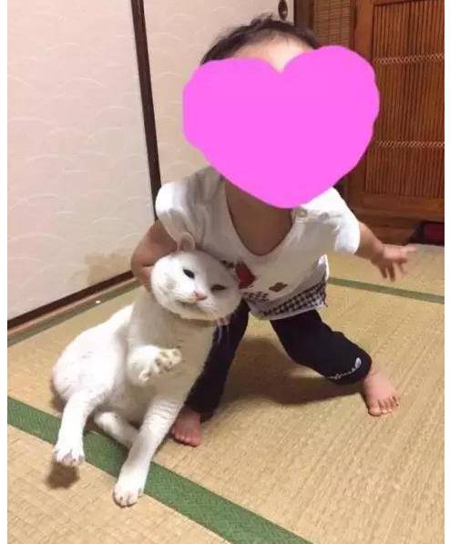女儿跟蓝猫在地板上玩耍,经过鲜明对比之后,网友调侃道:“猫才是亲生的吧! 女儿跟蓝猫在地板上玩耍,经过鲜明对比之后,网友调侃道:“猫才是亲生的吧!