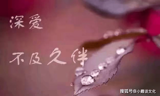 ff1cc2f761fa4460be8f307bf84af041.png