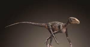 恐龙进化的中间环节,那些奇葩的庞然大物,谁才是恐龙的祖先