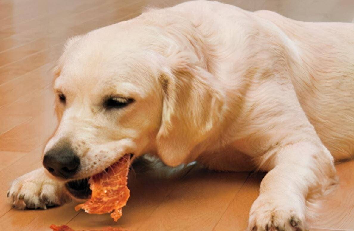 肉类|适合狗狗吃的6款“零食”，好吃还不贵！