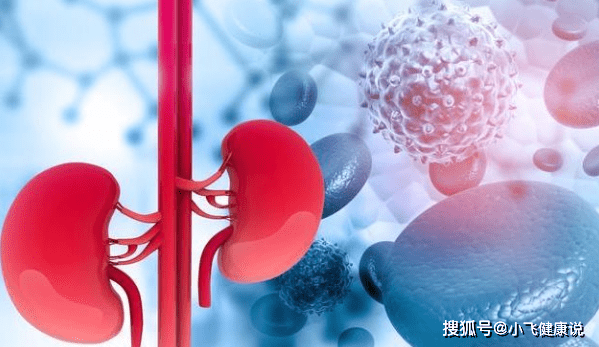 肾脏|肾脏硬化还有的救吗？做好此3点可稳住肾功能，尿毒症不会来袭