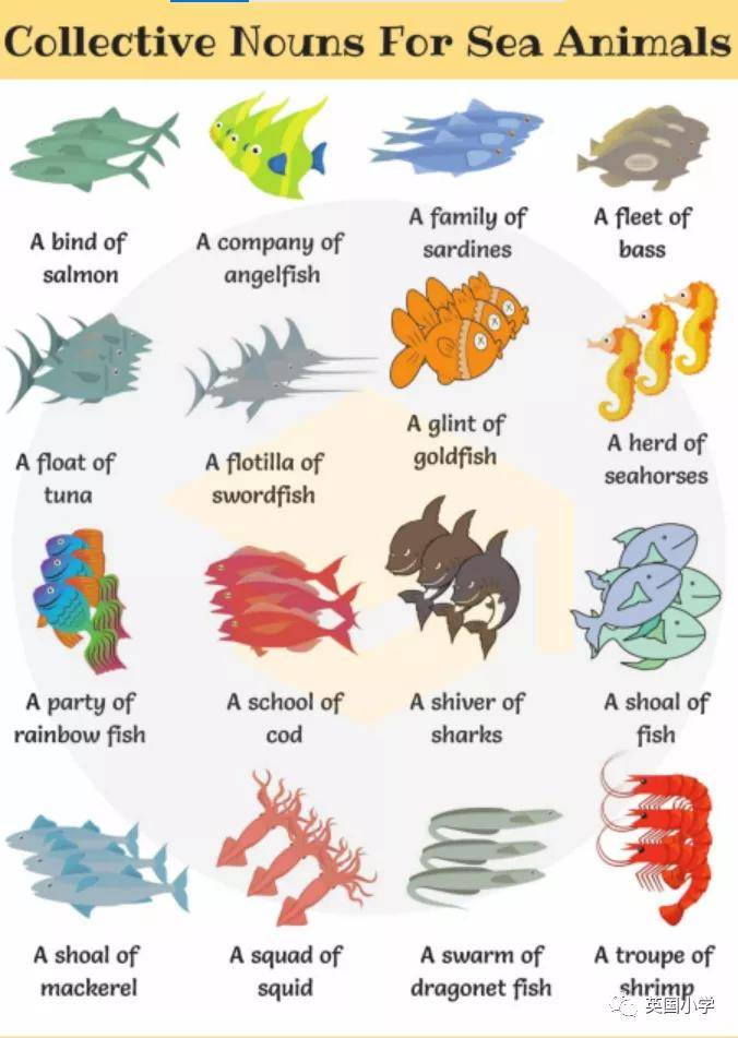 0fbfc6dee58f42ea8b60533112f40de7.jpeg