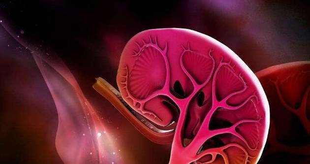 脱水|肾病患者出现腹泻，医生为什么会紧张？说出来你可能不信