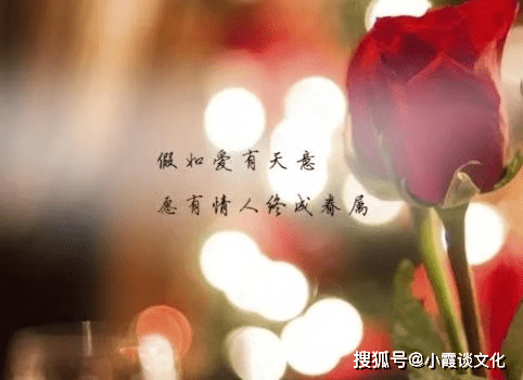 d373c83e71c44fee84e539ed1cb4a488.png