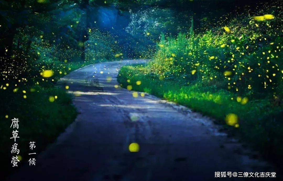 d4110b85185b426c8a6acf9a4622f9e1.jpeg
