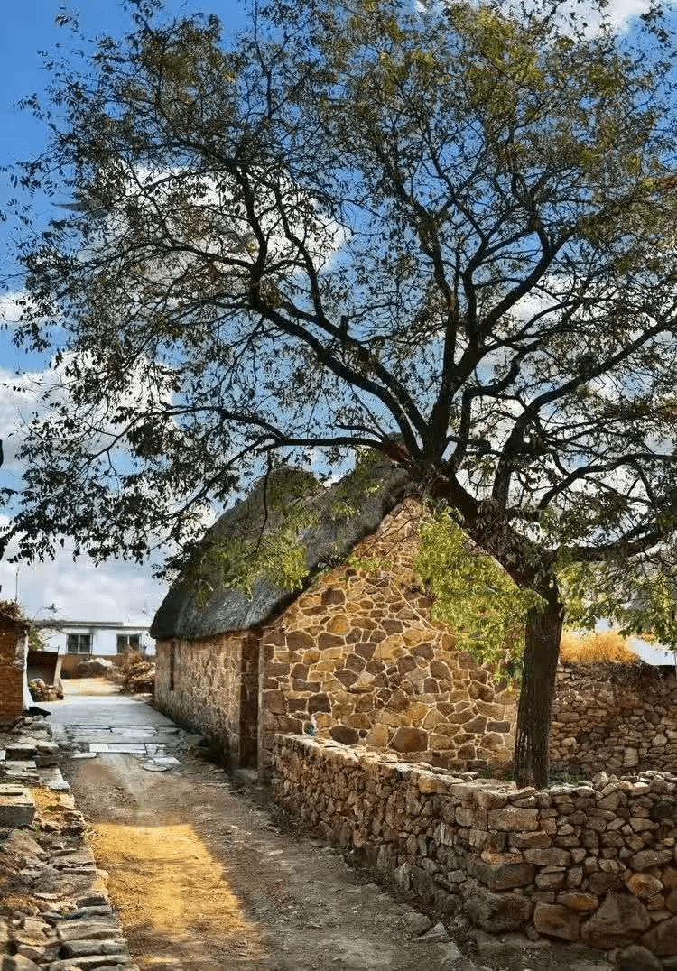 海草苫出的古韵与乡愁!_草房