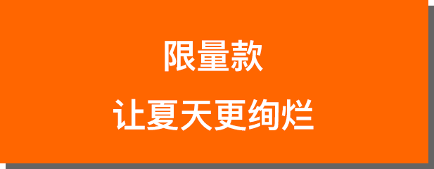 颜色|All in 爱马仕，很难吗？（傲娇脸）
