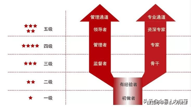 岗位职级体系搭建的思路