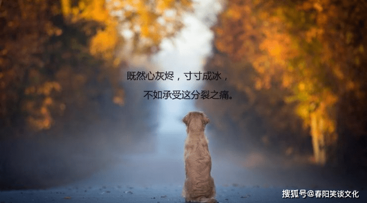 最美个性签名,句句简短霸气,让人一看就喜欢