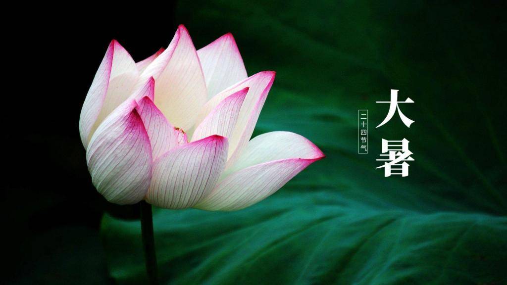 大暑后天气炎热,养育孩子忌贪凉,饮食牢记"三多两少"保娃健康_夏天