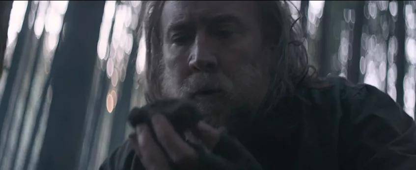 尼古拉斯凯奇|再见了，尼古拉斯凯奇，再见了，我的一代男神！