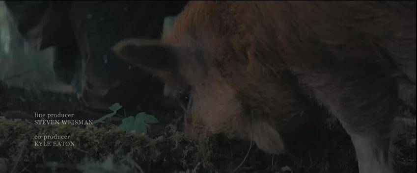 尼古拉斯凯奇|再见了，尼古拉斯凯奇，再见了，我的一代男神！