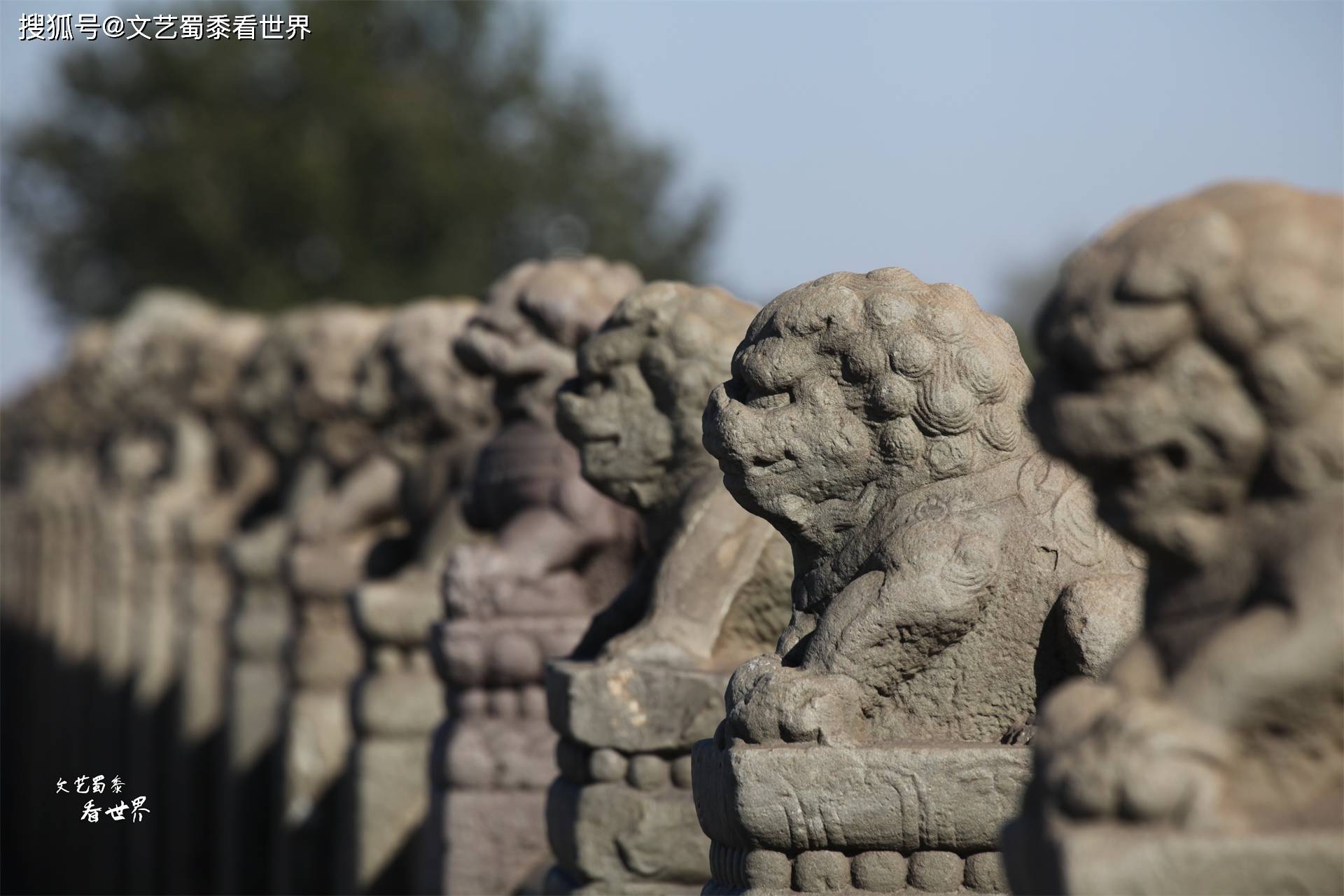 原創北京盧溝橋上的石獅子不會自己跑了為何數不清有多少隻