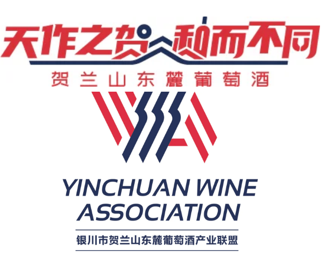 阳阳|收官之站！中国贺兰山葡萄酒探索之旅—酒庄庄主代表访谈