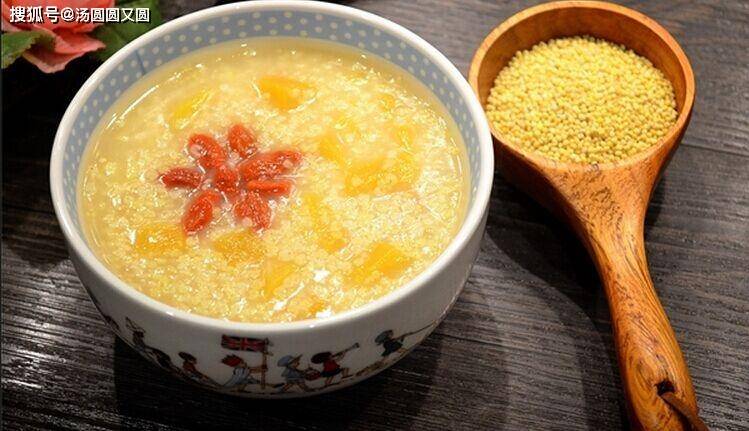 进行|【养宠小知识】月子狗拉稀怎么办