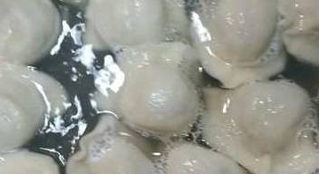 因为|经常给孩子包这种馅的饺子，增强记忆力，保护视力