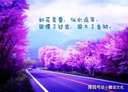 晚上有雨的诗句 fd86f4c0ccf14befaf1b569bd2477818.png