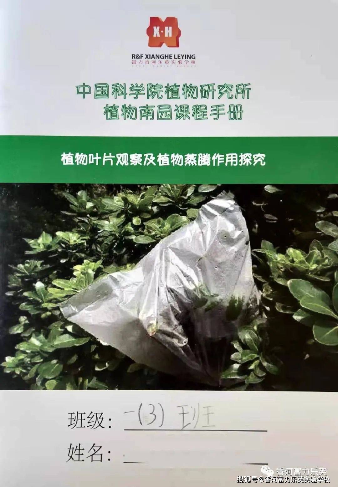 梦见试旧鞋，探索梦境背后的深层含义与心理启示