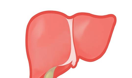 夏天|为什么肝不好的人，夏天都比较“难过”？夏季养肝，要注意哪些？