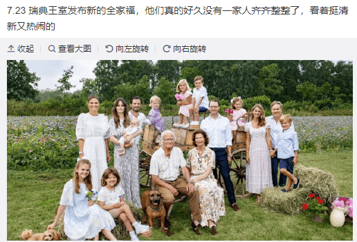 瑞典王室一家16口全家福王后穿印花裙优雅第三代女王储很清纯