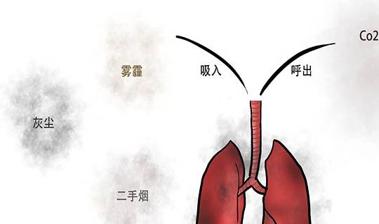 16464911a6fc4a418d2931d01a85f153.jpeg