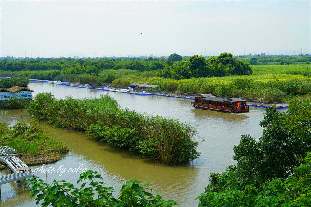 醉美下渚湖|可以近距离观察"东方宝石"朱鹮,还能在酷暑夏日玩雪哦