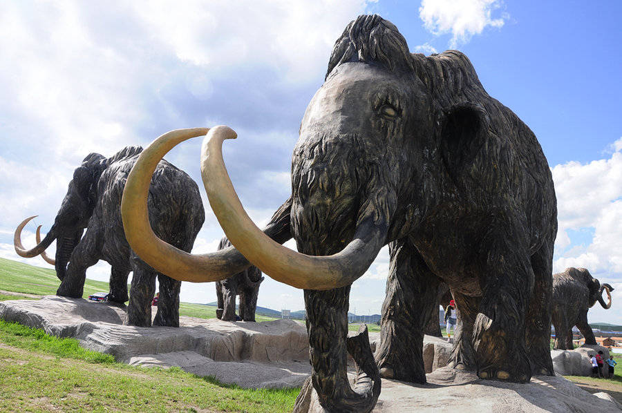 猛犸象的肉是什么滋味人类可能就要复活长毛象了