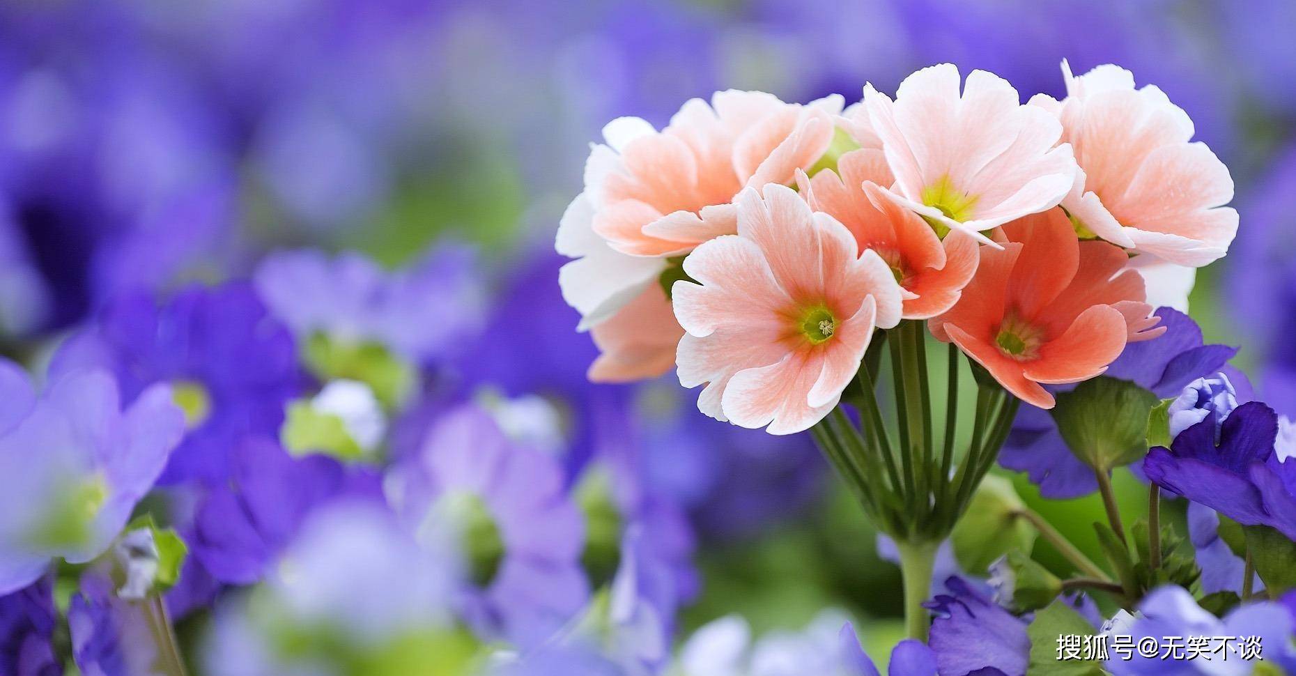 11月21日星座运势 白羊座贵人相助 射手座脚踏实地 工作