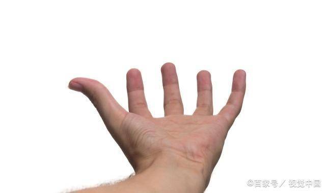 肝脏|肝脏有异常时，手部会有4个“信号”，并不难发现