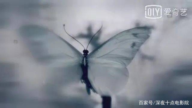 梁帝|你出走半生， 归来仍是初心不改 满腔热血的的林殊哥哥