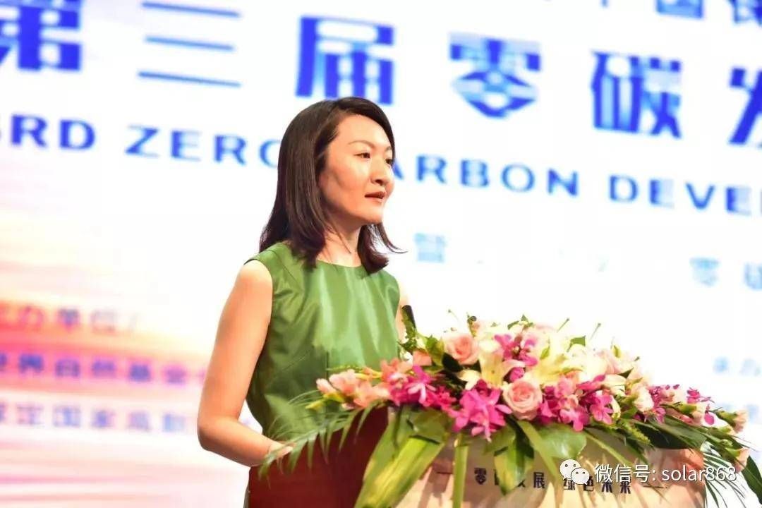 光伏"江湖三女侠",撑起中国光伏一片天!_靳军淼