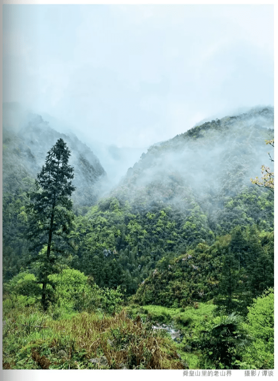 老山界山景图图片