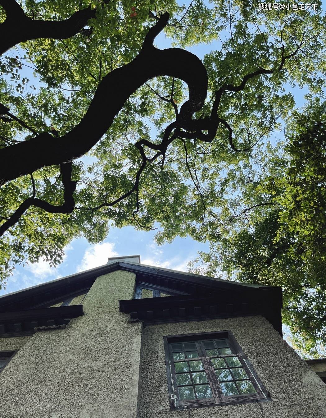 牛仔裤|张子萱牛仔裤修长大长腿合集